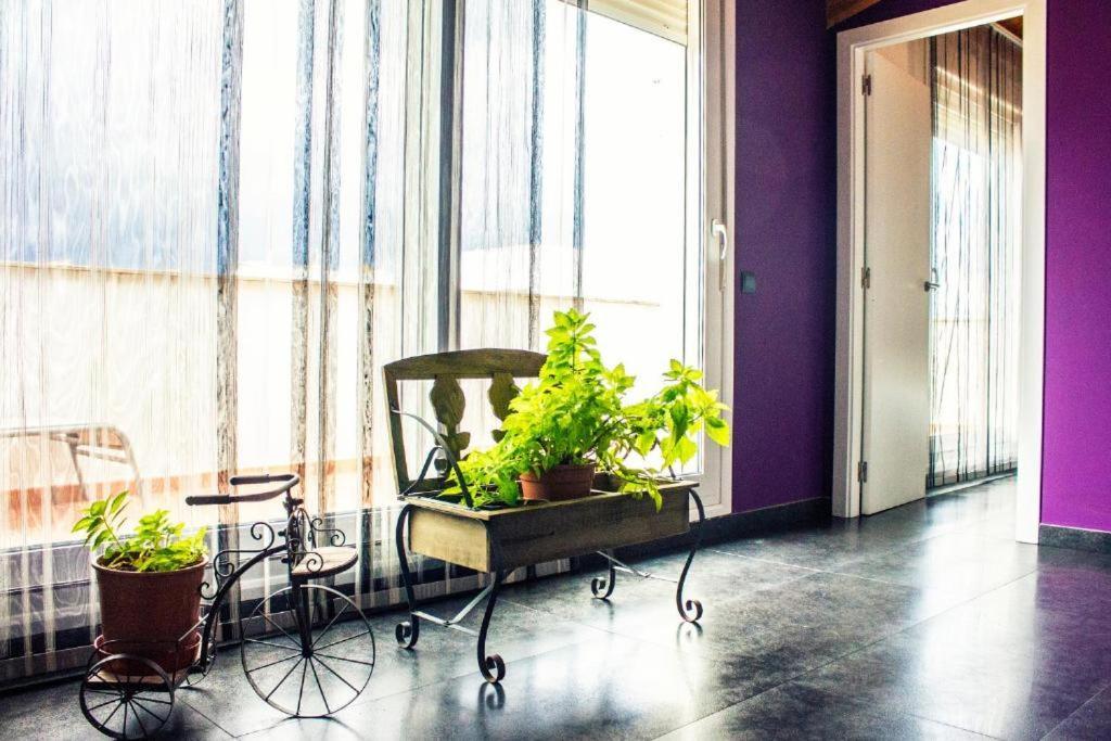 Apartamento Con Estilo Y Acogedor Сан-Матео Экстерьер фото